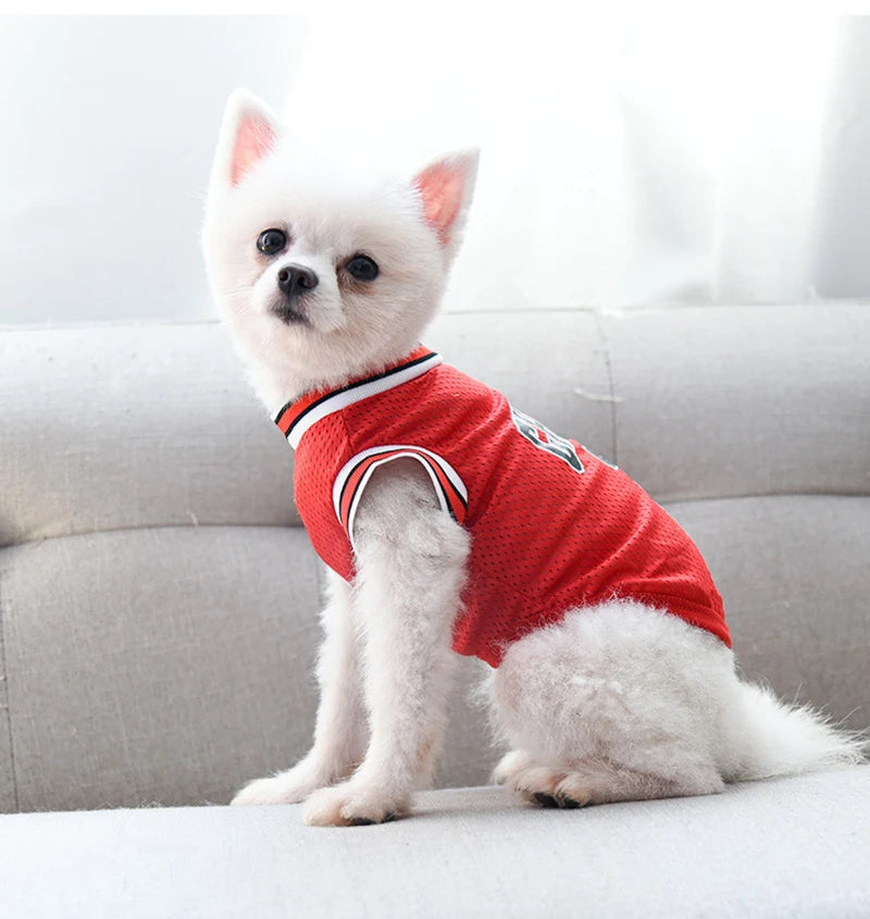 Camiseta de Baloncesto transpirable para Perro