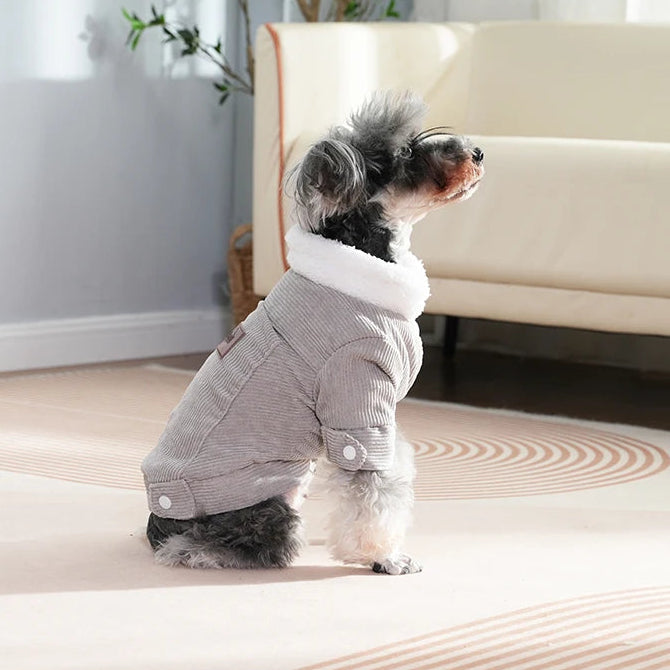 Abrigo vaquero de Invierno para Perro