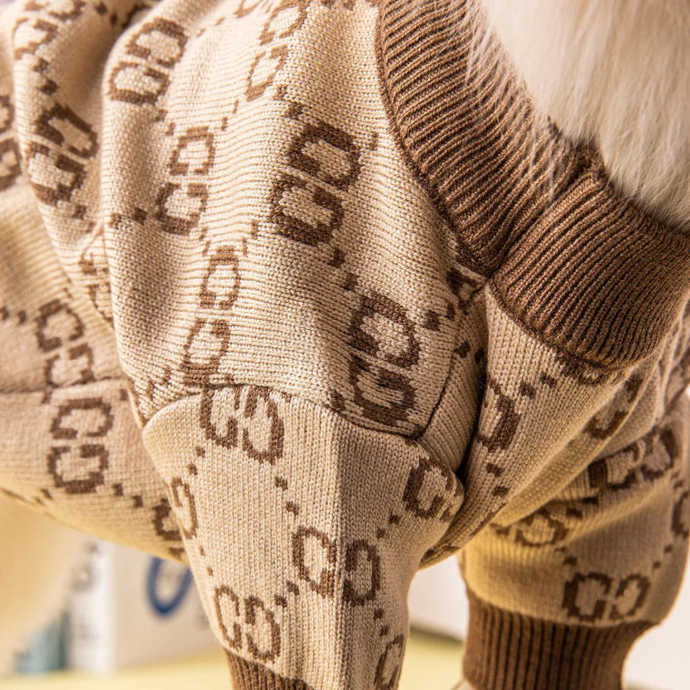 Jersey de Moda para Perro