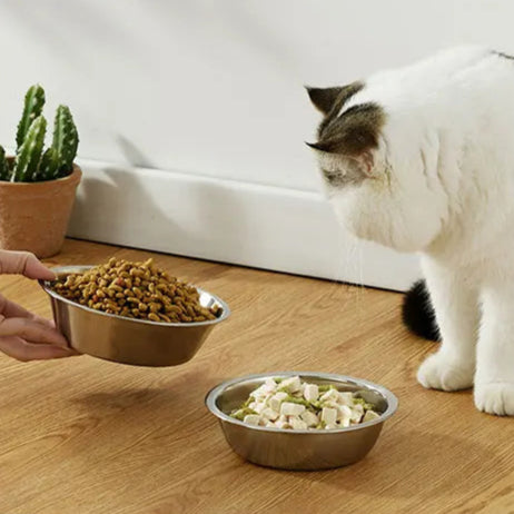 Comedero de acero inoxidable de alta capacidad