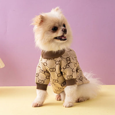 Jersey de Moda para Perro