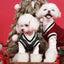 Winter Warm Pet Dog Sweater College Style V-neck Puppy Knitwear For Small Dogs Puppy Vest Clothes Kitty Jacket Outfits
