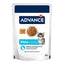 Comida húmeda para gatos cachorro Advance pollo en salsa 85g